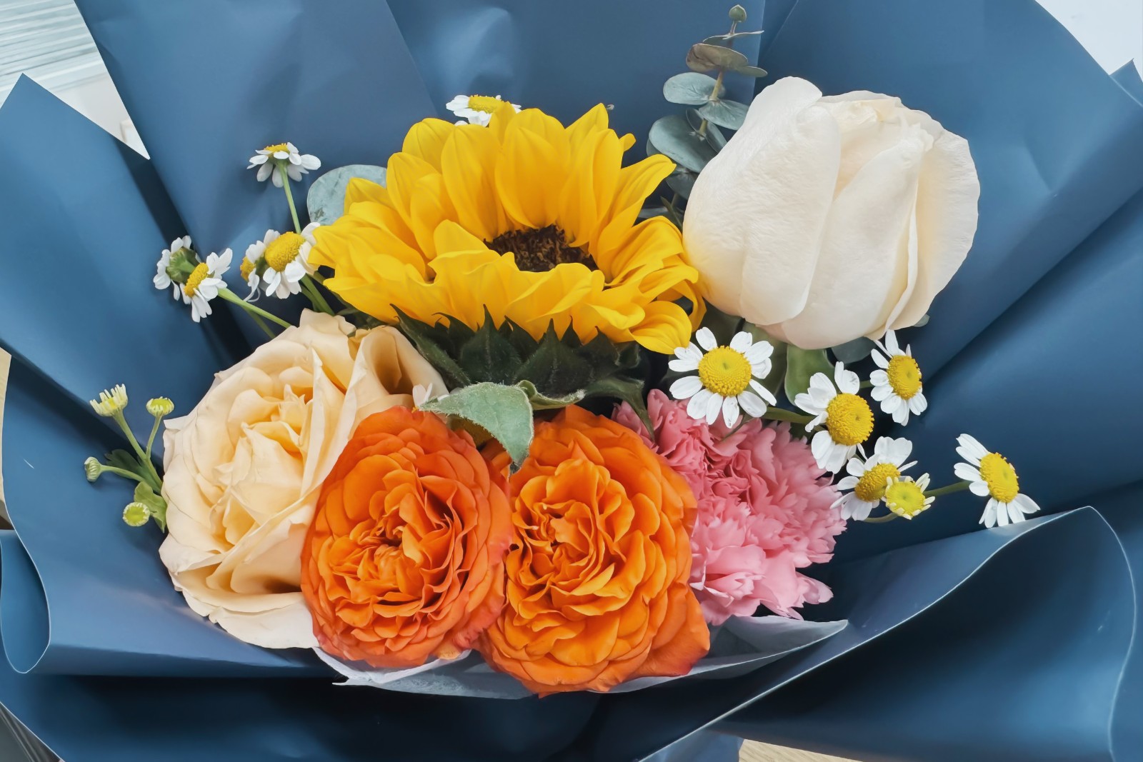 editor1710120455945198.jpg QQ图片20240308180755.jpg