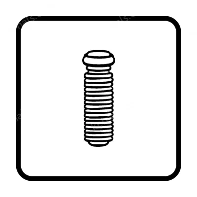Brass Screw