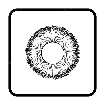 Wire, Abrasive Wheels & Brushes