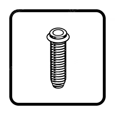 Stainless Steel Screws