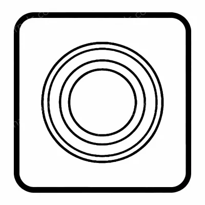 O-Rings